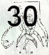 Fig 30