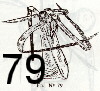 Fig 79
